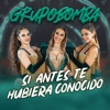 Si Antes Te Hubiera Conocido - Single