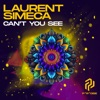 Can't You See - Single