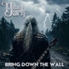 Bring Down the Wall - Single