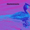 Mantenimiento - Single