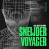 Voyager (Niall Mckeever Remix) - Single
