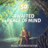 50 Awaited Peace of Mind - Music for Meditation: Guided Relaxation, Sacred Mantra, Tibetan Chakra, Asian Zen Massage, Oriental Music for Reiki & Deep Sleep