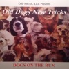 Dogs On the Run