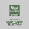 Deep House Selection, Vol. 2