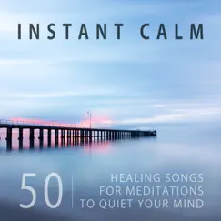 Instant Calm: 50 Healing Songs for Meditations to Quiet Your Mind, Yoga Music for Body Balance Problems, Train Your Brain to Relax, Sleep Therapy, Spa, Massage, Stress Release by Various Artists album reviews, ratings, credits