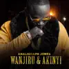 Wanjiru & Akinyi song lyrics