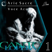 Ave Maria, Op. 52 No. 6, D. 839 (Orchestral Version, Sing Along Karaoke Version) artwork