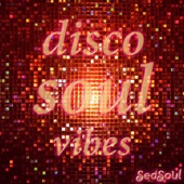 Disco Soul Vibes artwork