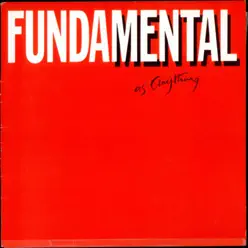 Fundamental as Anything - Mental As Anything