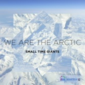 We Are the Arctic artwork