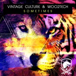 Sometimes - EP by Vintage Culture & Woo2tech album reviews, ratings, credits