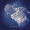 Elevate