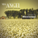 Born with Five Senses (feat. Shawn Kellerman) - Miss Angel