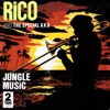 Jungle Music - Single