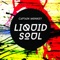 Liquid Soul - Captain Monkey lyrics