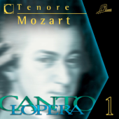 Il flauto magico, K. 620: "Dies Bildnis ist bezaubernd schön" (Sing Along Karaoke Version) - Compagnia d'Opera Italiana & Antonello Gotta