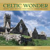Celtic Wonder - Various Artists