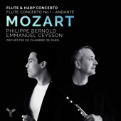 Flute Concerto No. 1 in G Major, K. 313: I. Allegro maestoso artwork