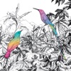 Two Birds - EP