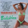 Tropicales Bailables