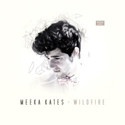 Meeka Kates - You Got Me (Les Loups Remix)