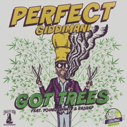 Perfect Giddimani - Got Trees (feat. Young Shanty & Rasrap)