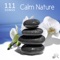 Oasis of Zen Relaxation for Buddhist Meditation - Yin Yoga Academy lyrics