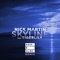 Skyline (feat. Tigerlily) (Hook N Sling Remix) - Nick Martin lyrics
