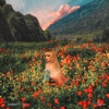 Summer Rain - Single