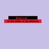 Birdy Lad - In the Midst of My Distress