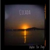 Cicada - Single