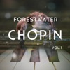Relax Chopin Piano - (Fwater) Waltz in E Major, Kk Iva No. 12