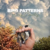 Bird Patterns - Single