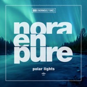 Polar Lights