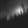 Shadows Hold - Your Lips Against Mine