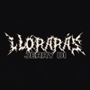 Llorarás - Single