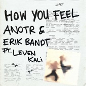 How You Feel (Ft. Leven Kali) by ANOTR