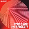Too Late to Forget - Single