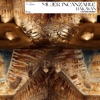 Mujer Inalcanzable (Goyanu Remix) - Single