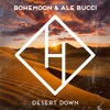 Desert Down - Single