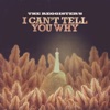 I Can't Tell You Why - Single