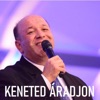 Keneted Áradjon - Single