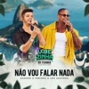 Não Vou Falar Nada (Vibezinha do Ferinha) - Single