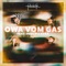 Owa vom Gas (feat. Paul Pizzera) cover