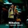 Hai rujeaza buzele - Single