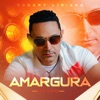 AMARGURA (En Vivo) - Single