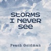 Storms I Never See - Single