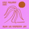 Raspberry Jam (Kyle Mullarky Dub) - Single