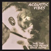 Acoustic Vibes - Dub Rock (feat. Ras Teo)