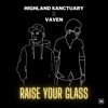 Raise Your Glass - Single